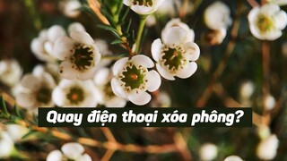 Quay phim điện thoại nên biết những điều này P.3