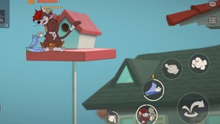 Tom and Jerry mobile game: A super detailed review of the newly added cat character Mitt, whose over