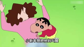 美伢只是睡了个午觉，就意外给五小只当起了模特