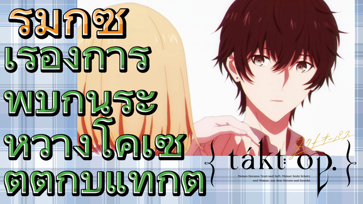 [แท็กต์ โอปัส.] ริมิกซ์ | เรื่องการพบกันระหว่างโคเซตต์กับแท็กต์