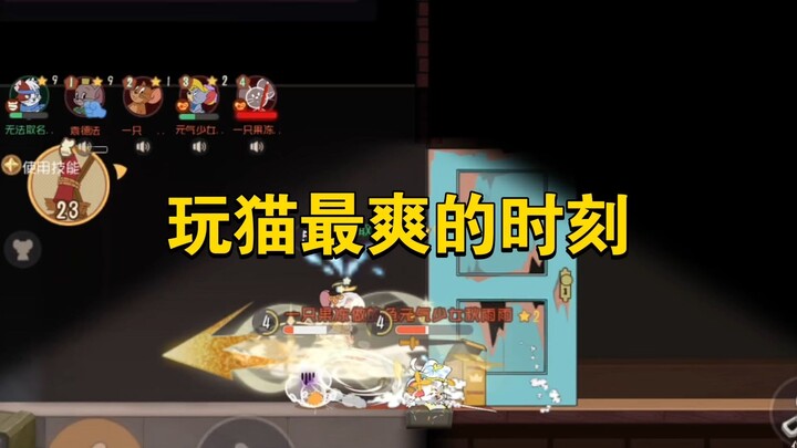 เกมมือถือแมวกับหนู: อะไรคือความฟินที่สุดเวลาเล่นเป็นแมว?