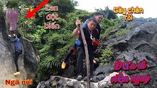 Thanh Niên Liều Mạng Leo Núi Lấy Lan Đột Biến Tiền Tỷ Ngã Từ Trên Núi Xuống Gãy Chân