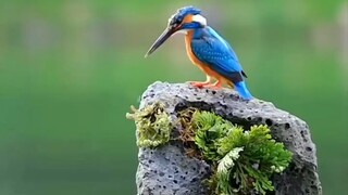 Beauty of nature