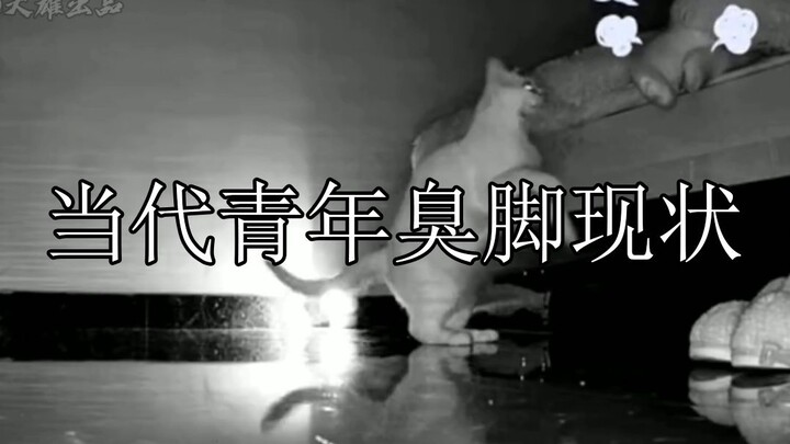 The current situation of smelly feet among contemporary youth: How bad can human feet stink?