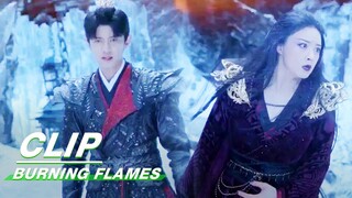 心月葵不甘自己为䰠族付出的一切 伍赓选择放过她 | Burning Flames EP38 | 烈焰 | iQIYI