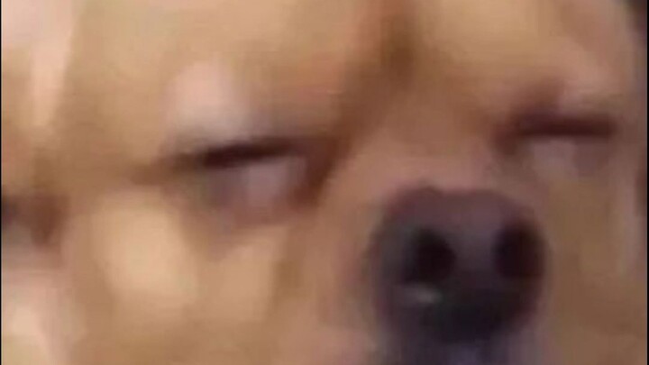 Memanfaatkan saat minyak dan air bertengkar untuk menggoreng sebutir telur!