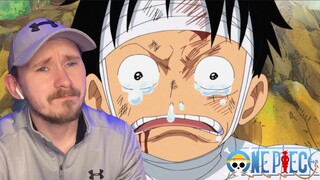 Luffy Still Has His Crew | Dadan vs Garp | One Piece Reaction Episode 504-505