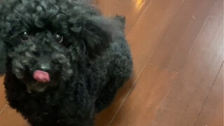 你跟谁学会背版的