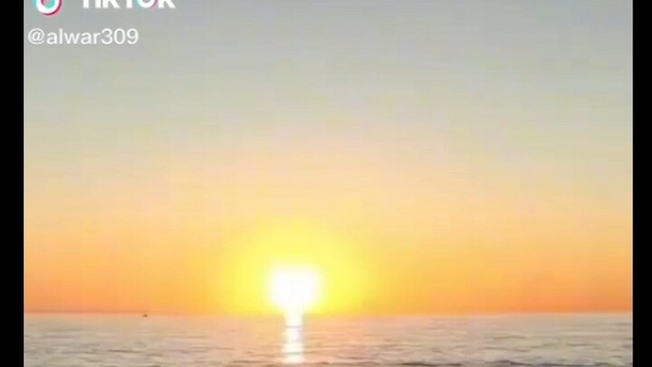 Terserah lu aja udah pak #dimskusuma #reaction #reactionvideo #reactionlucu #reactiontiktok #reacti