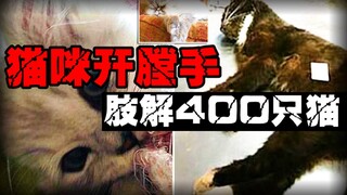 【伦敦猫咪开膛手】几百只猫离奇被分尸，引起居民恐慌。