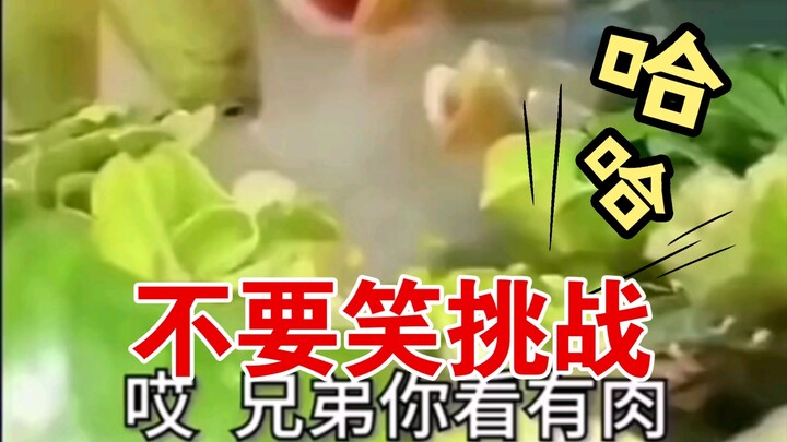 الساشيمي سريع التحضير بسرعة!