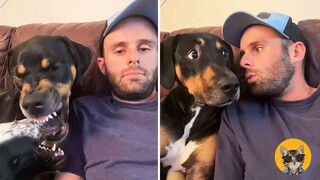 Dogs Actually Understand What You're Saying | Pets House