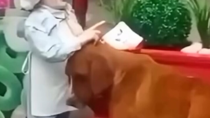 พลาสติกปลอม…