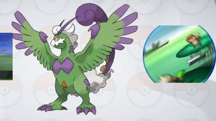 The sky overlord Rayquaza can't breathe dragon? [Pokémon unscientific move learning (7)]