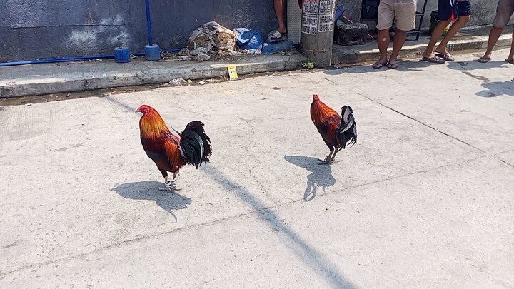 kilikili ang amat