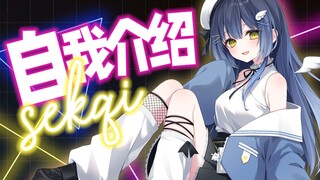 【B站入驻】天使降临到我身边【sekqi】
