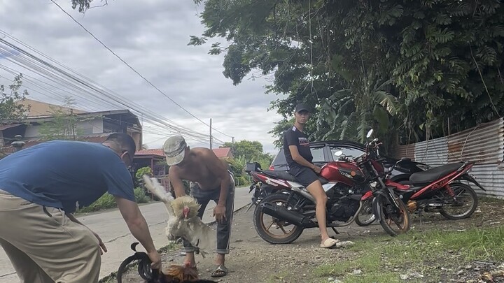 spar mga par