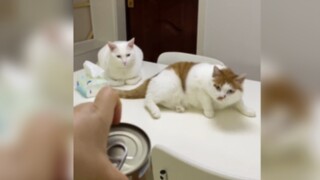 Kecepatan booting mengalahkan 99 persen pengguna di seluruh negeri!