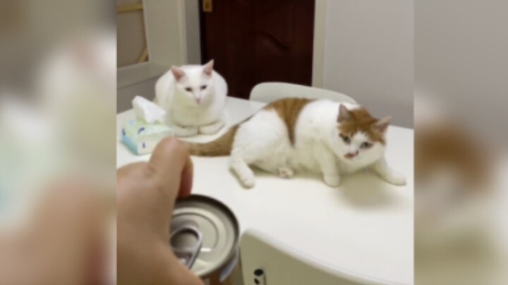 ความเร็วในการเปิดเครื่องเหนือกว่าผู้ใช้งานถึงร้อยละ 99 ทั่วประเทศ!