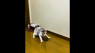 ยิ้มแบบซื่อ รับรองไม่ดื้อแน่นอน