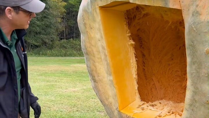 Why cut open the giant pumpkin that won the championship?