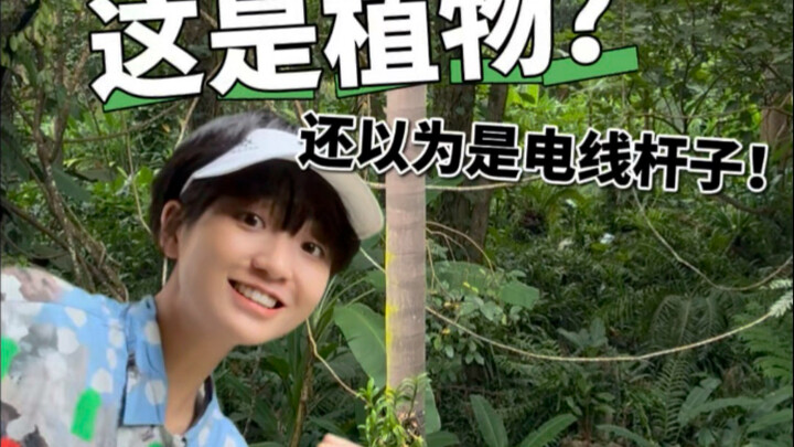 Saat kamu mengajak teman yang penuh rasa penasaran berlibur ke Kebun Raya Xishuangbanna…