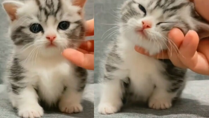 Đây mới là video mà các anh chàng mạnh mẽ nên xem!