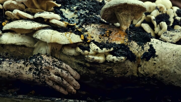 Uncle Ba is a people person, and there’s someone who can grow human-body mushrooms. Perfect—Uncle Ba