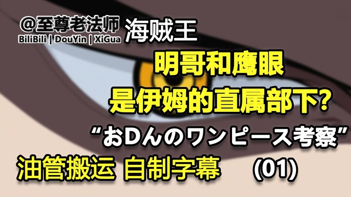 【油管搬运 自制字幕】“おDんのワンピース考察”明哥和鹰眼都是伊姆的直属部下？