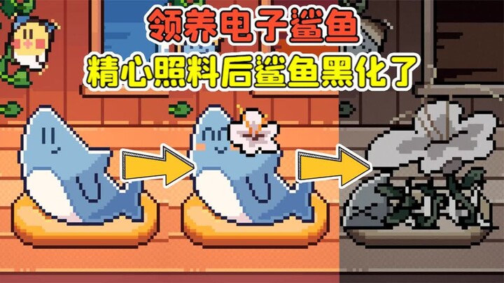 我的小鲨鱼 -领养电子鲨鱼？经过我的精心照料，鲨鱼黑化了！