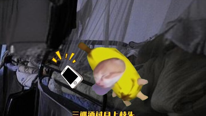 当宿舍四人都有早八不同的起床铃声