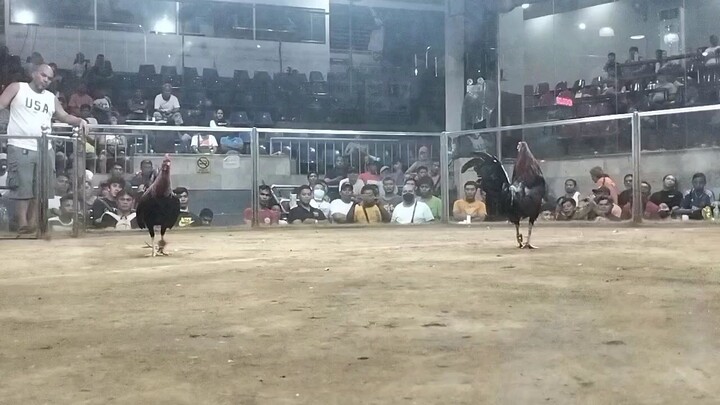 champion 2hits chamba lang