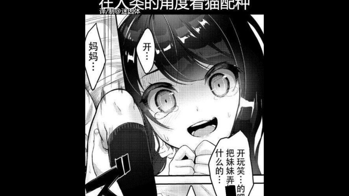 Online Mourning Memes, Episode 403: So This Is What It Means to Be a Cat Person ()