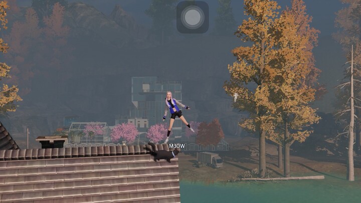 Testing
