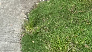 “别让生活的压力挤走快乐吖 '◡'”