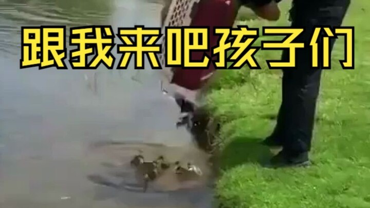 【Khoảnh khắc chữa lành】Quá trình nhận nuôi nhanh nhất trong lịch sử