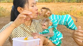 Super Sweet Grandma Vs Both Babies Monkey Maya & Zono Eating Food Together