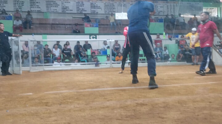 Our 3X winner hiraw (Chapsoi Line)