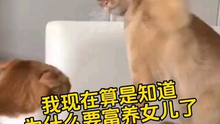 我现在算是知道了为什么要富养女儿