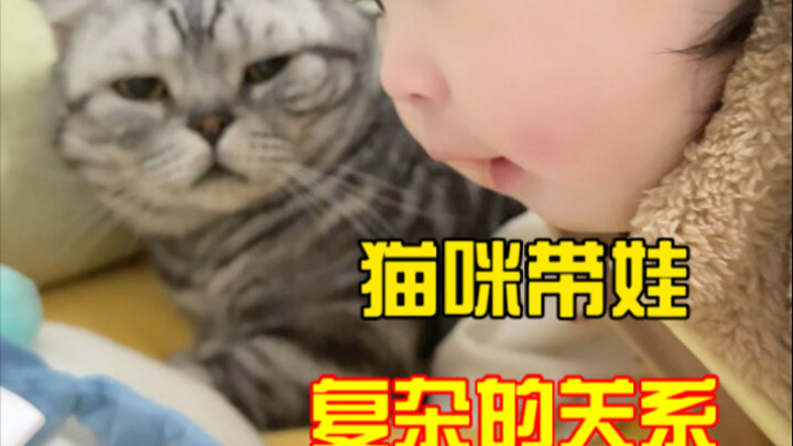 Mối quan hệ giữa mèo nhà tôi và con người phức tạp đến mức chính tôi cũng chẳng thể sắp xếp cho rõ r