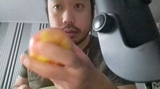 ASMR EATING SOUNDS - APPLE