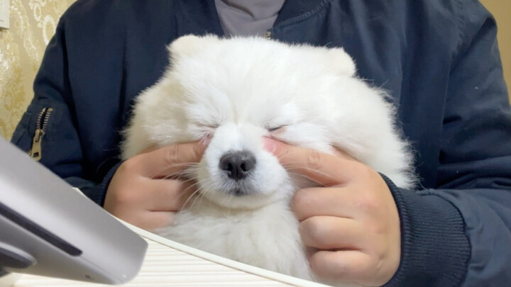 لأجل فول سوداني