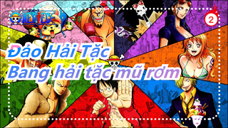 [Đảo Hải Tặc] Phân cảnh cảm động của bang hải tặc mũ rơm, muốn khóc quá_2