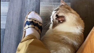 来一个全身的spa？