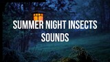 Summer night insects sound l Background music