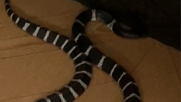 Tonight was the closest I’ve ever been to death!