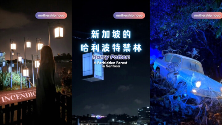 Harry Potter ở Singapore: Trải nghiệm Rừng Cấm❗️Trông thú vị quá!