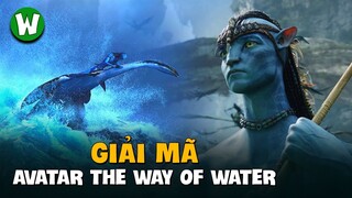 Giải Mã Cái Kết Avatar: The Way of Water | Dự Đoán Cốt Truyện Phần 3