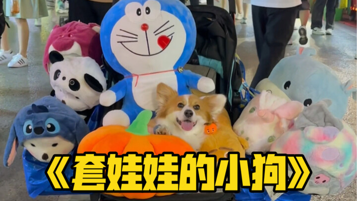 Memburu anjing kecil di pasar malam, semua boneka dibawa pulang!