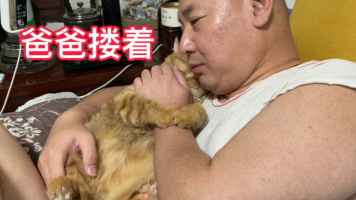 Ayah memeluk kucing gemuk dan tidur nyenyak sekali, tangan kecilnya bahkan masih memeluk lengan ayah